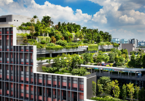 thiết kế tái tạo