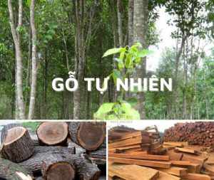 gỗ tự nhiên