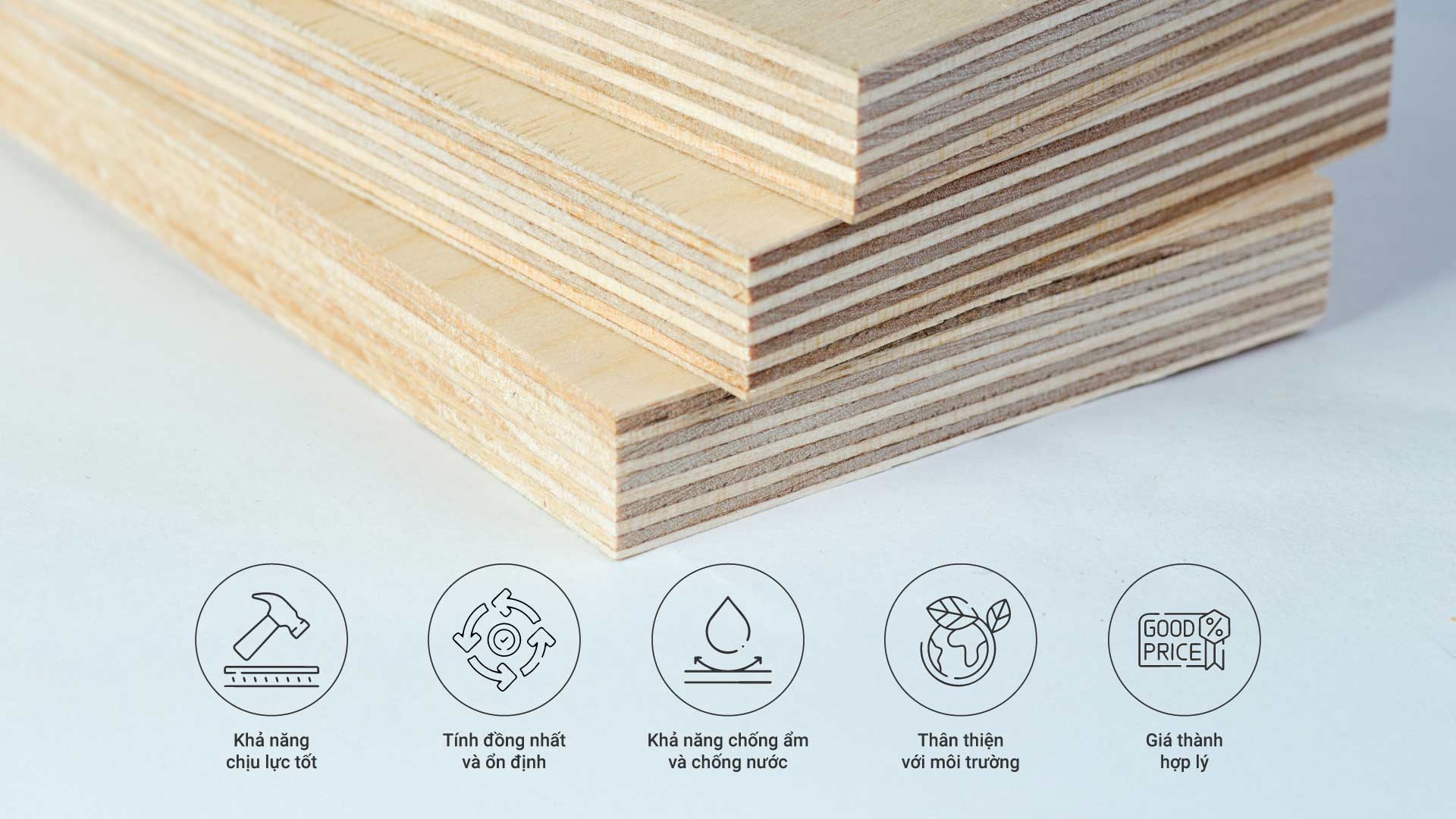 Ván Plywood: Cấu tạo, ưu nhược điểm, ứng dụng, giá tiền, các loại 2025 2 Ván plywood