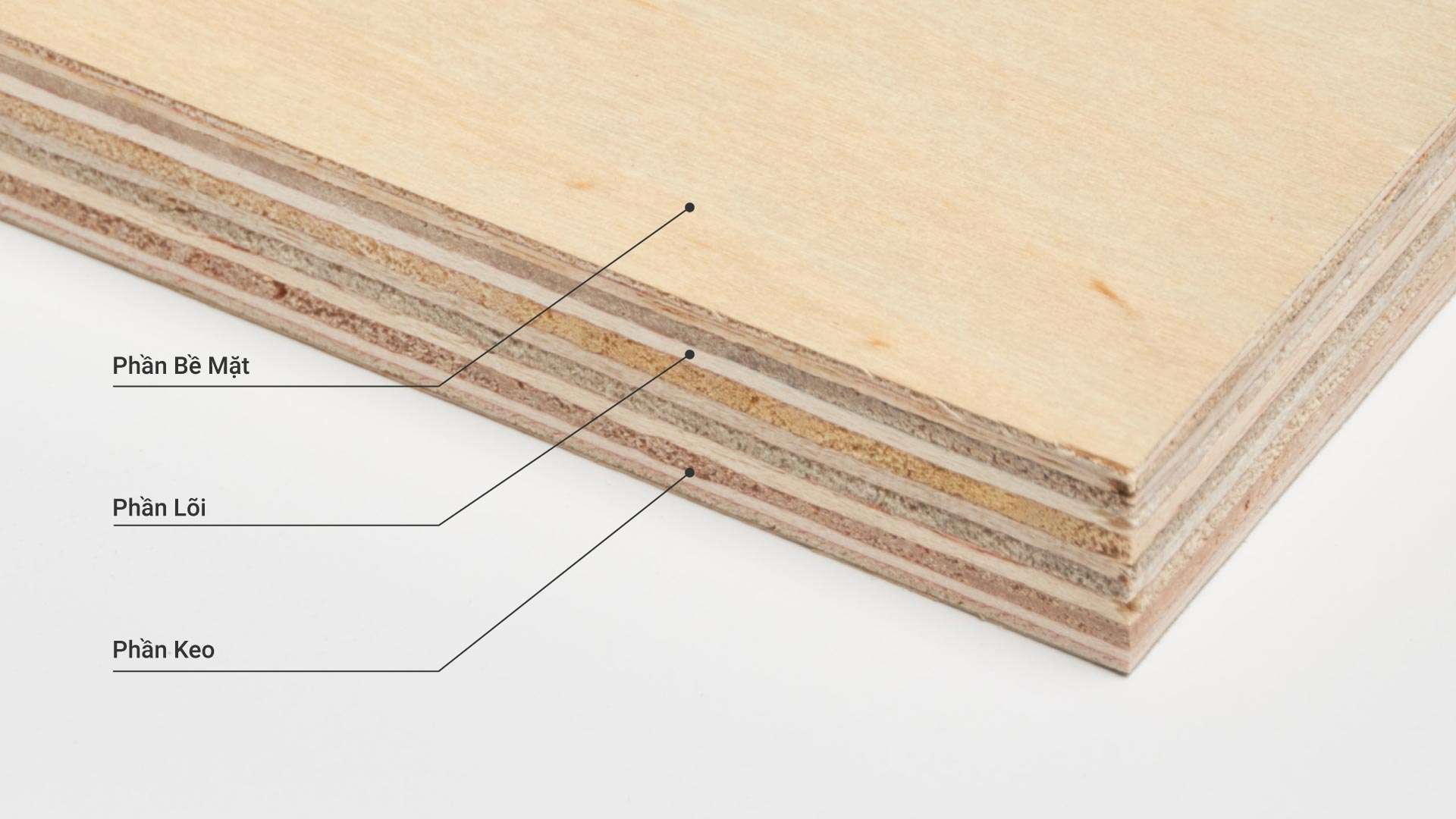 Ván Plywood: Cấu tạo, ưu nhược điểm, ứng dụng, giá tiền, các loại 2025 1 ván plywood