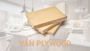ván plywood