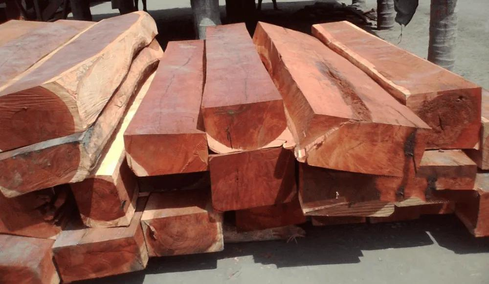 Gỗ hương đá có tốt không? Đặc điểm và cách phân biệt? 13 image 130